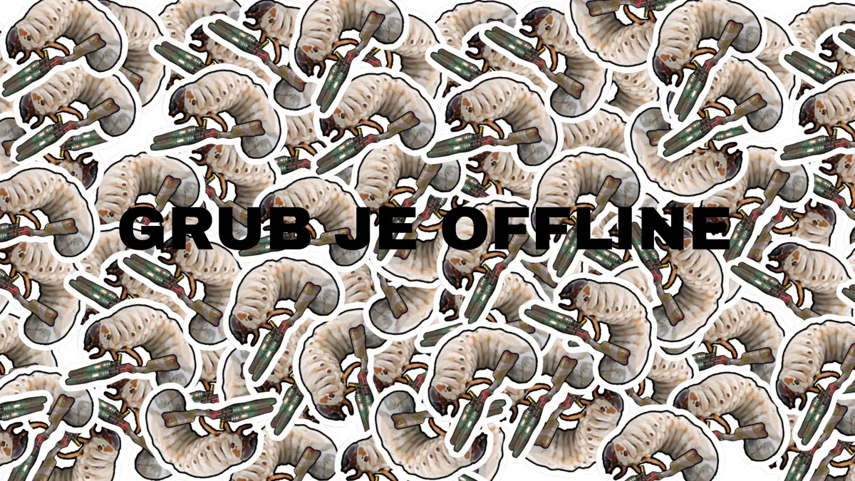 grubicek