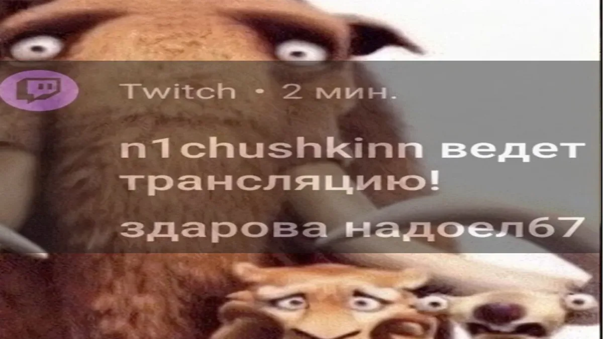Nichushkinn