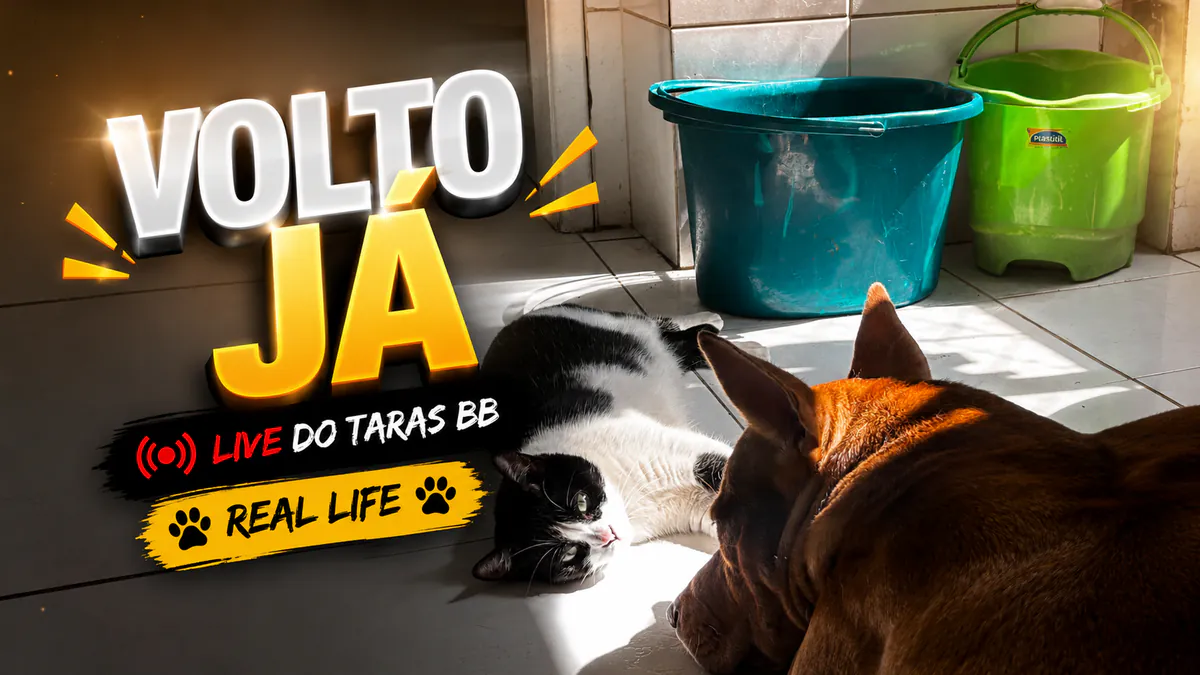 Tarasbb7