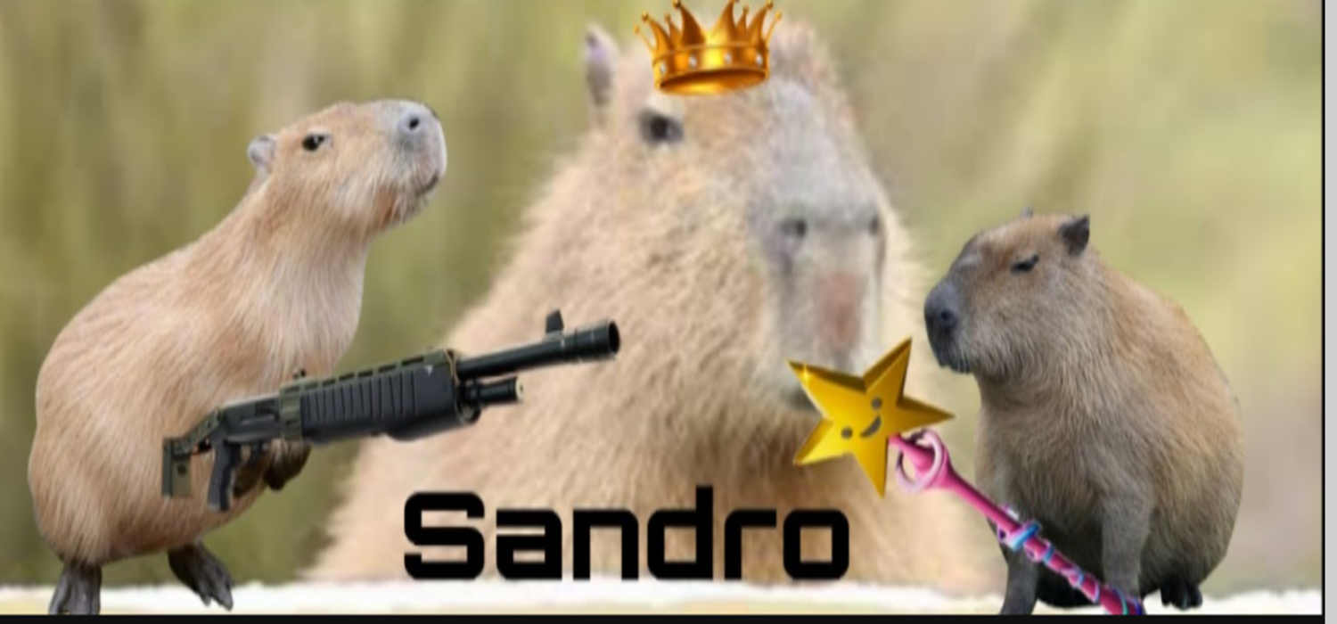 Kick banner for @sandro