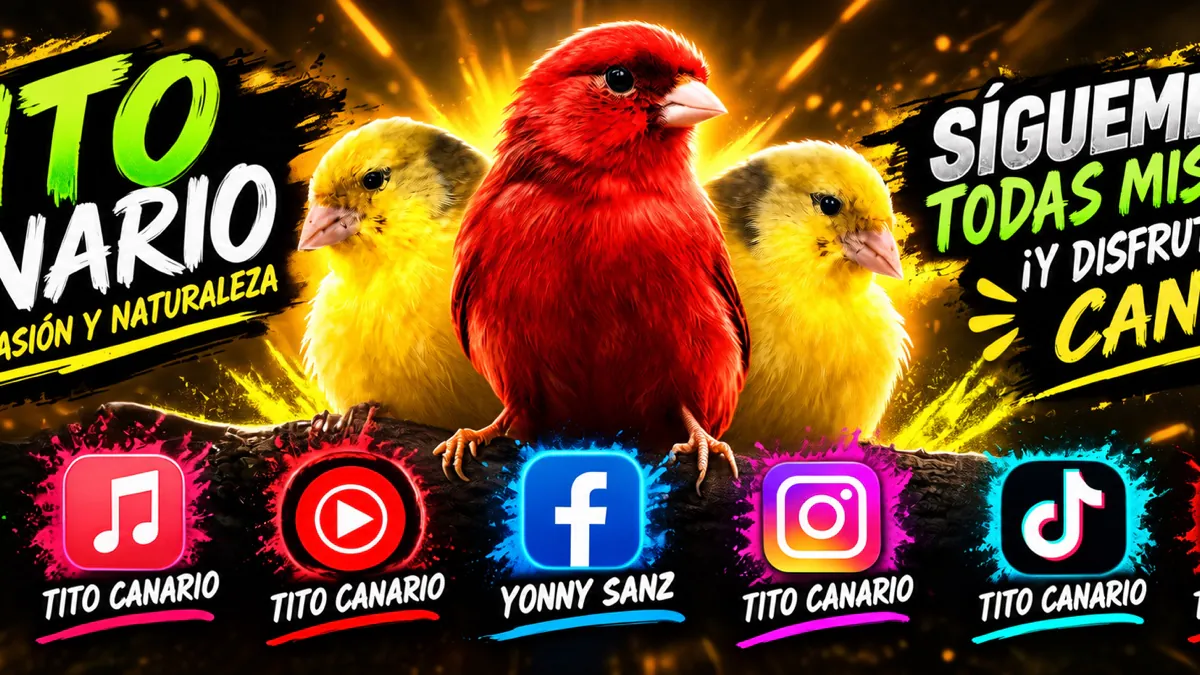 titocanario_official