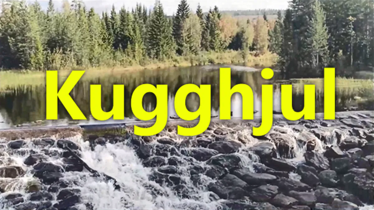 kugghjulet