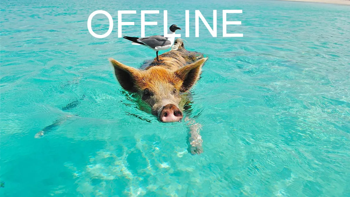 Borsh_One