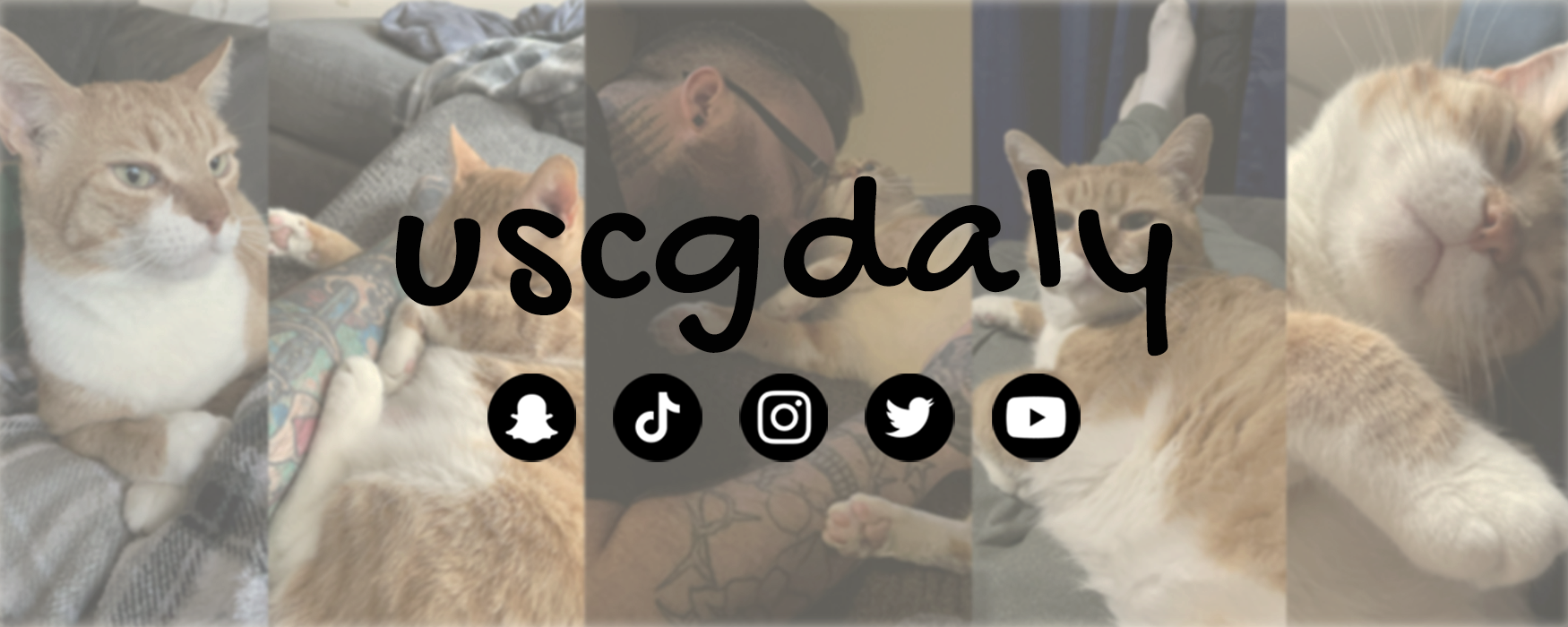 Kick banner for @daly