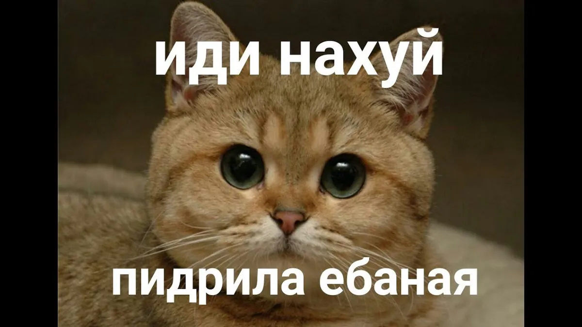 last_dodep