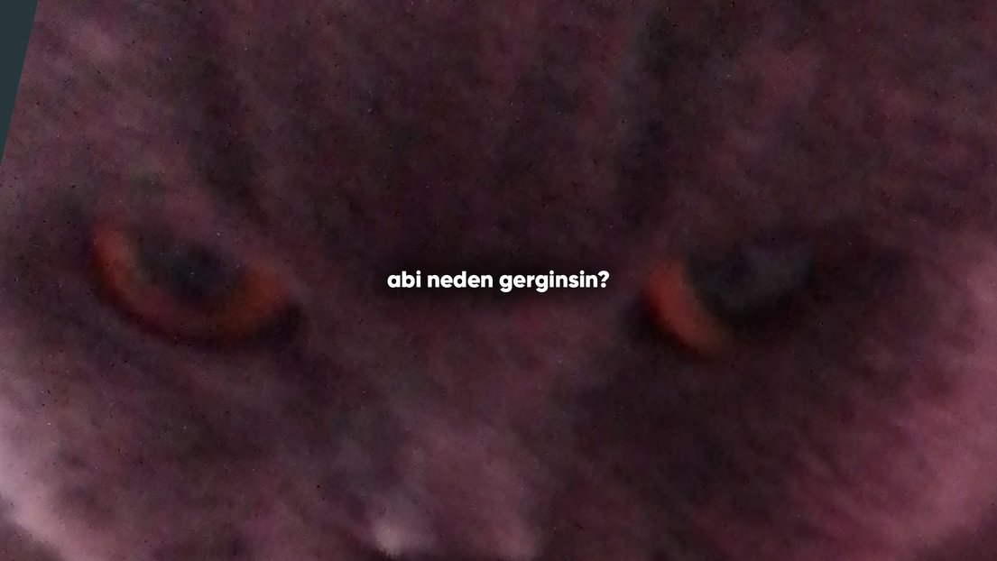 GerginKedyy