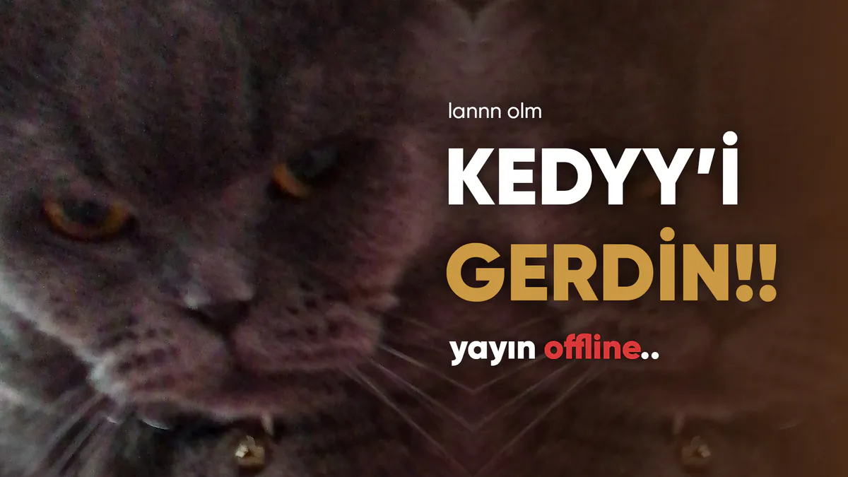 GerginKedyy