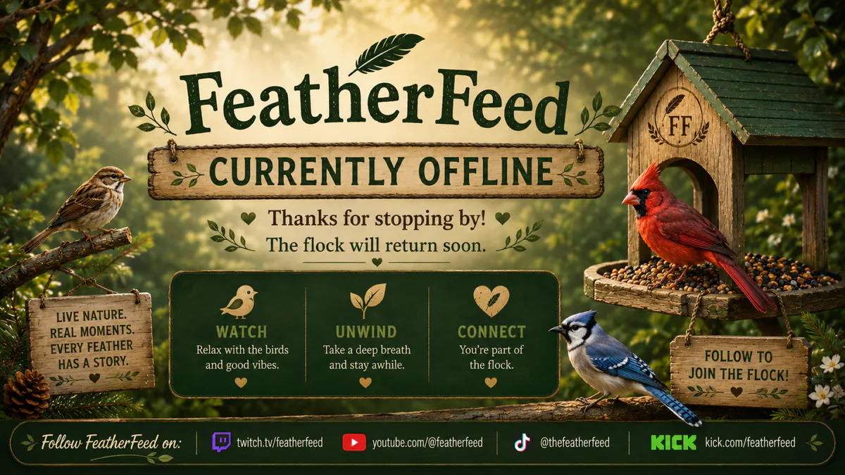 FeatherFeed