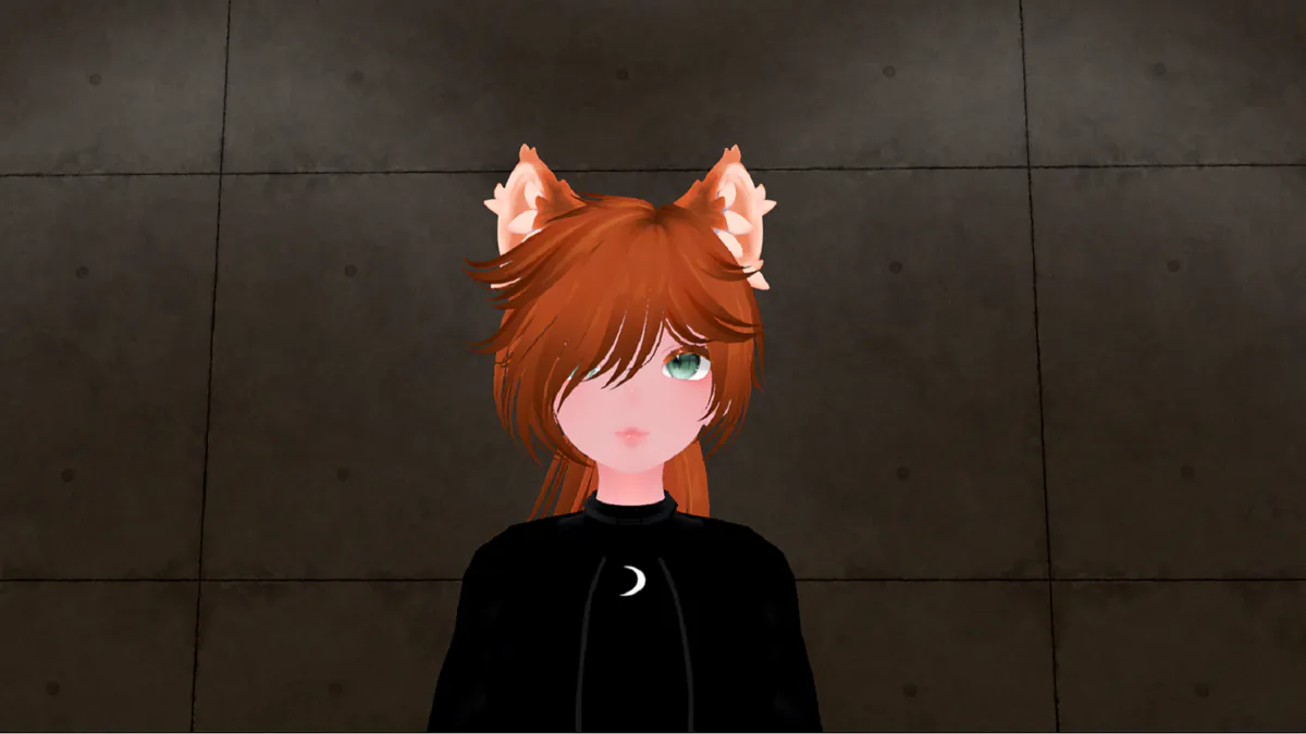 KiraTabbyCat