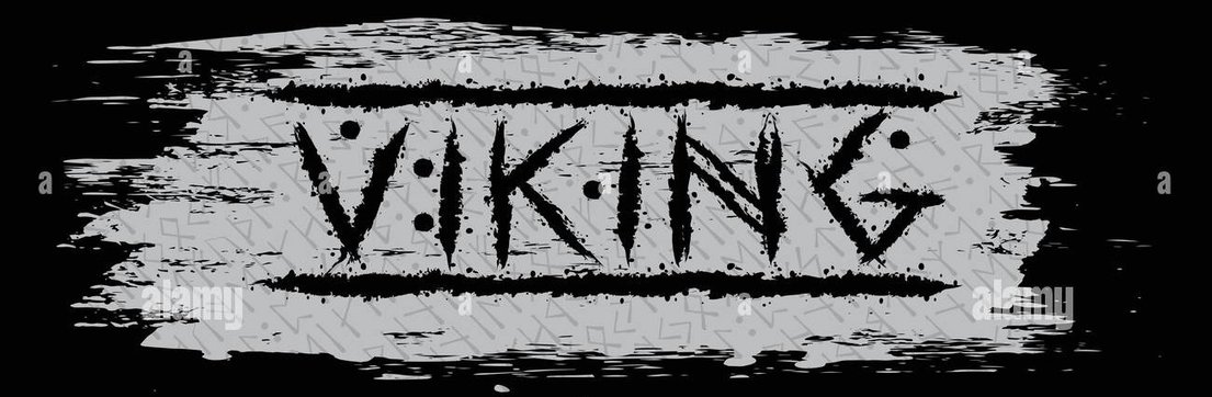 Vikinglordgamin