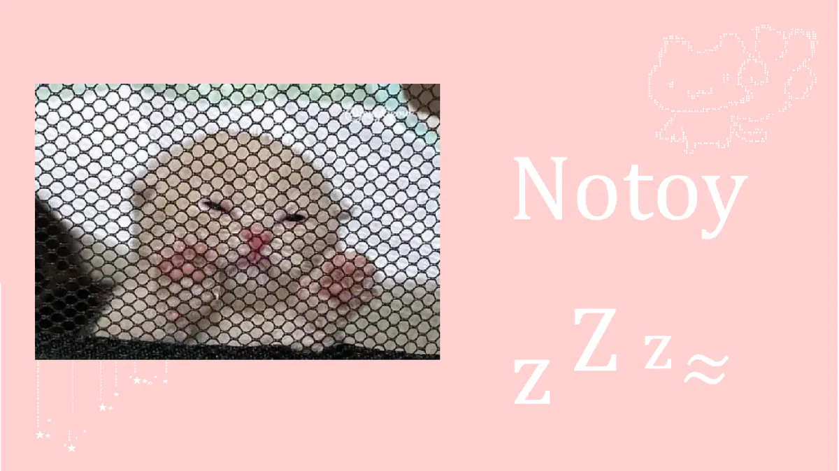 noahsesisi