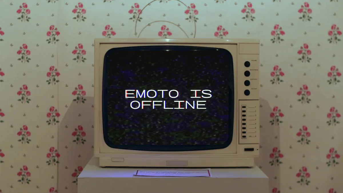 Emoto11