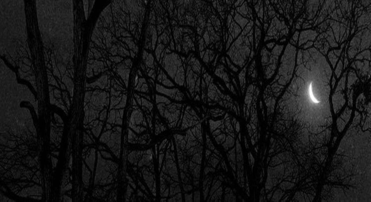 Kick banner for @perished