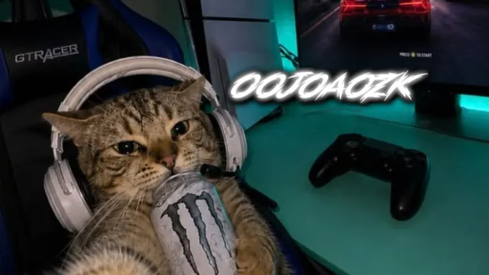 oojoaozk