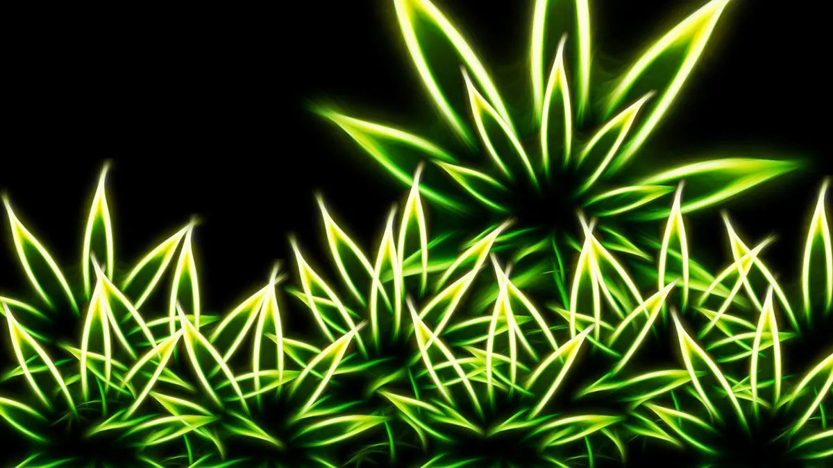 Jamaicanglue20