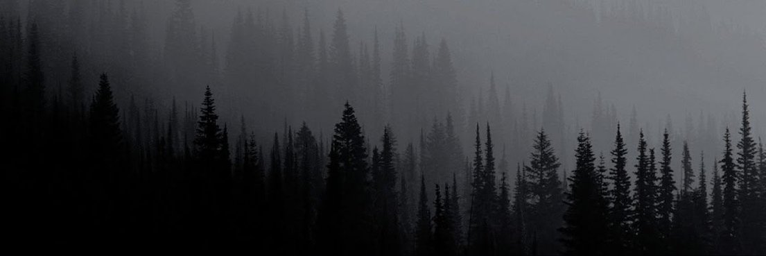 BVHRAN