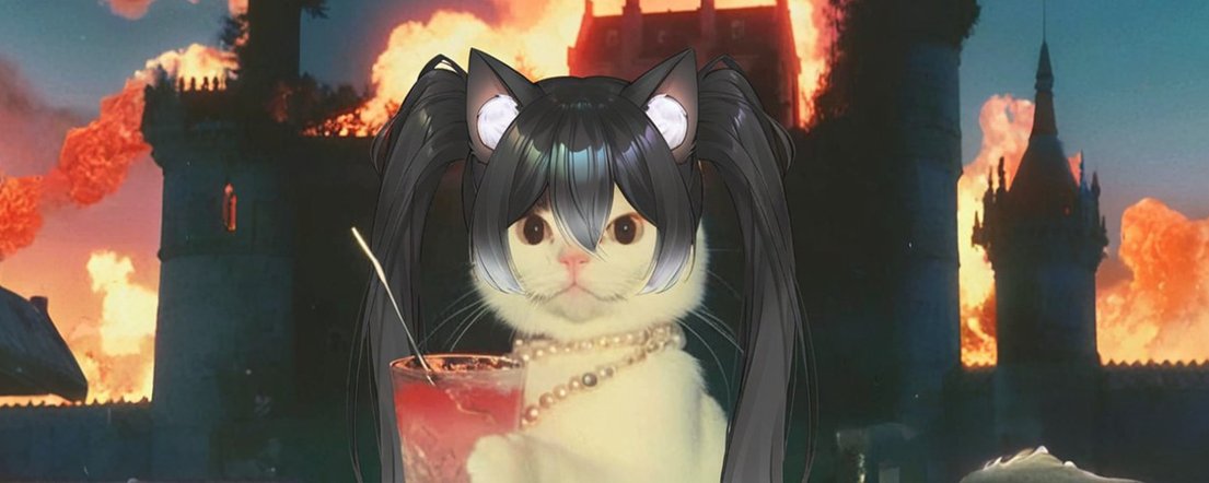 junoocat