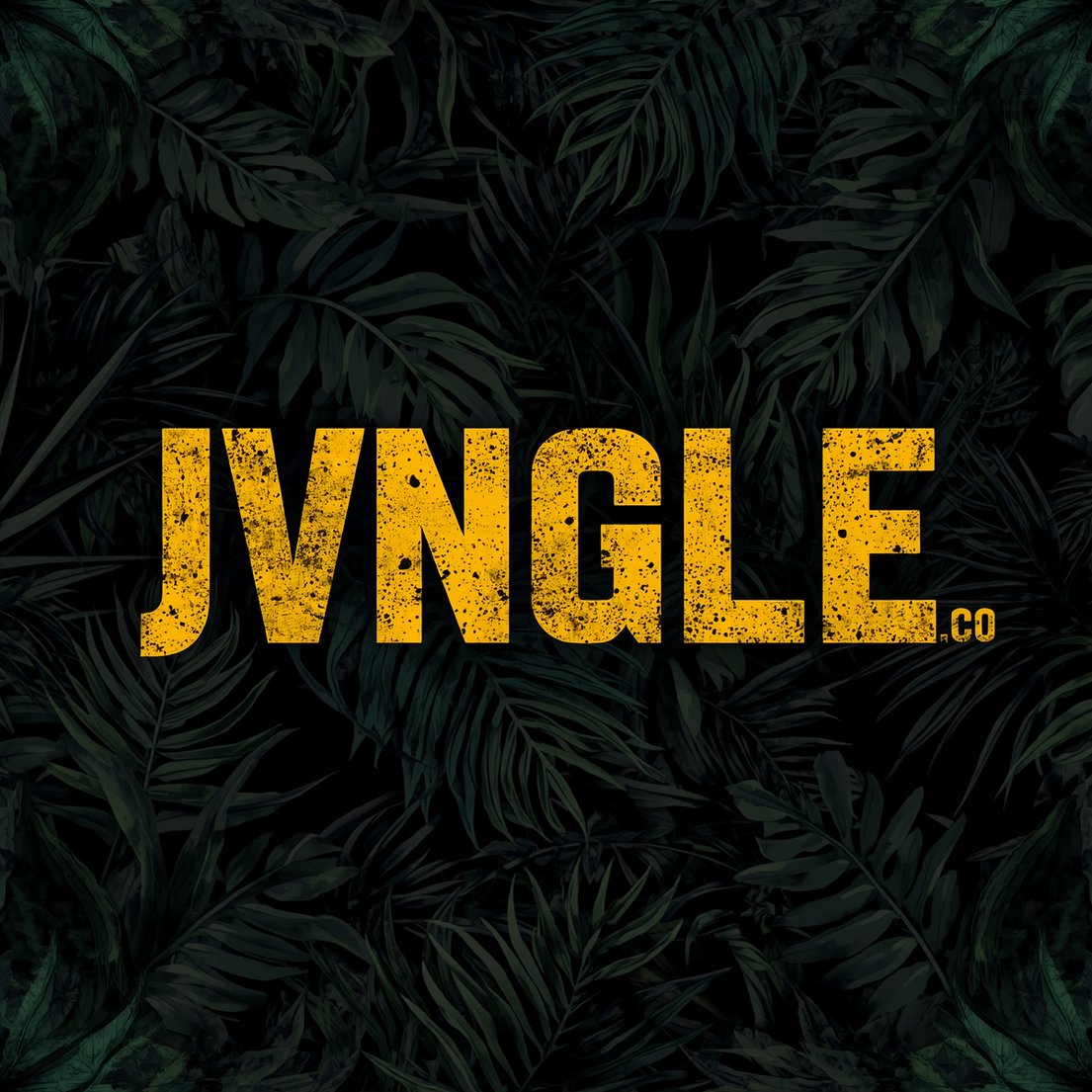 jvngle_radio