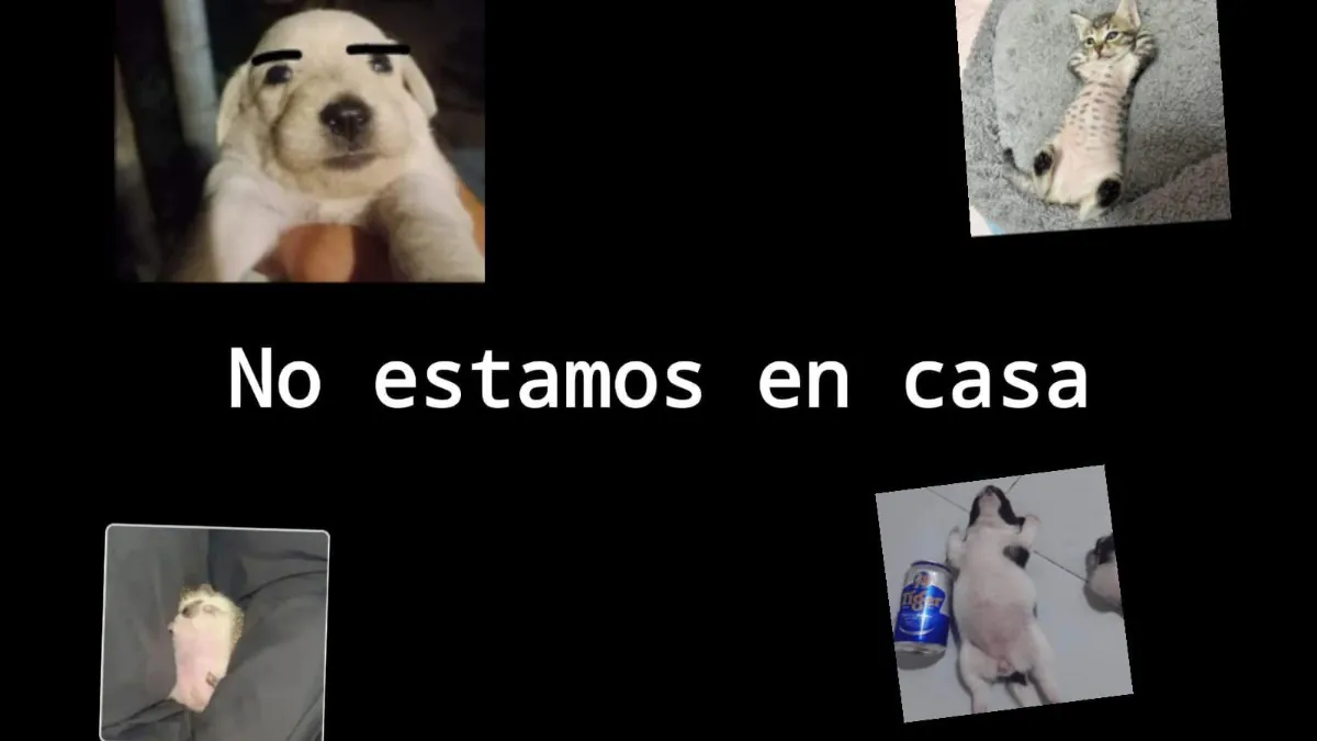arroos