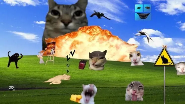 Vekorta