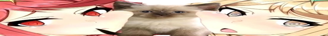 m0TESY