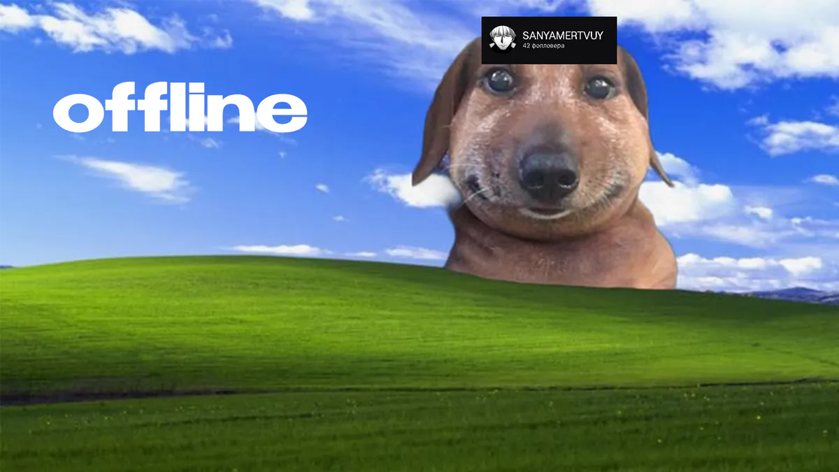verbalabusedd