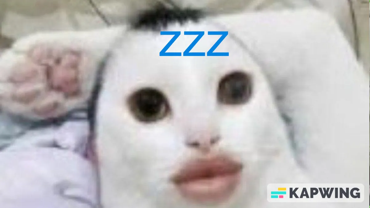 furmetaest