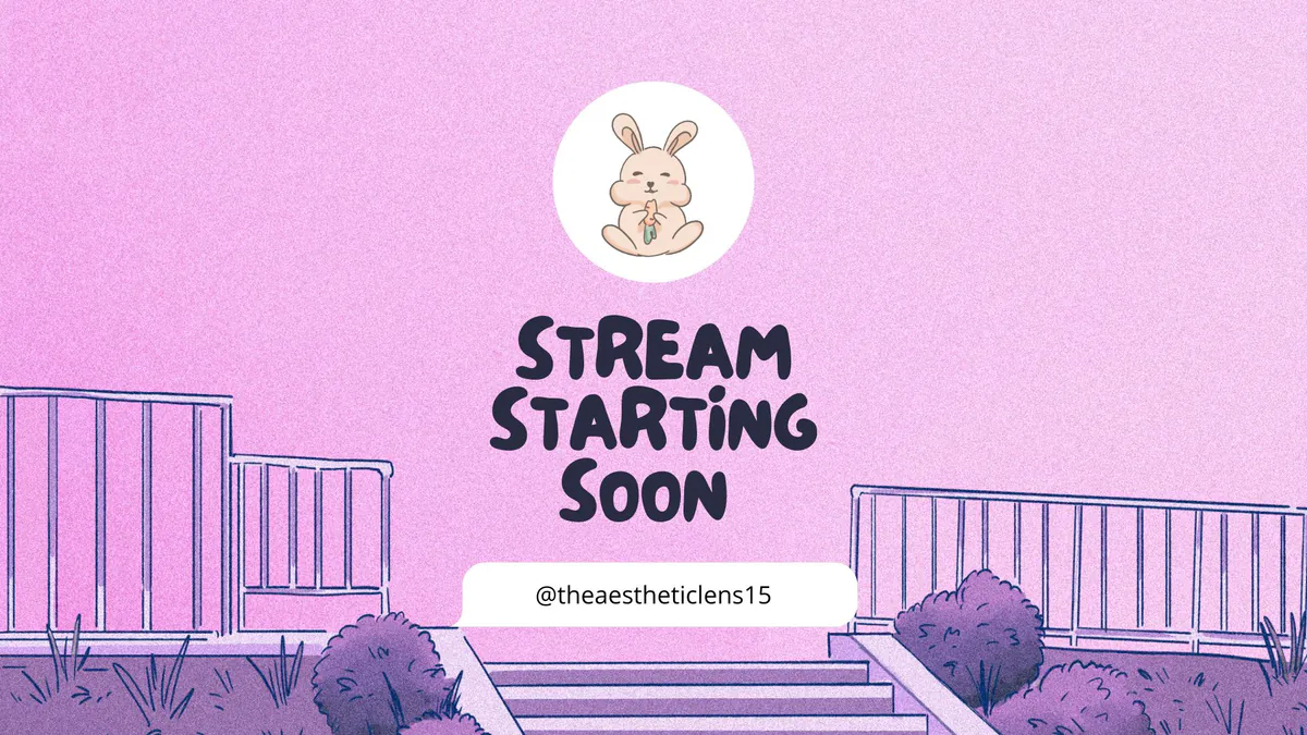 TheAestheticLens