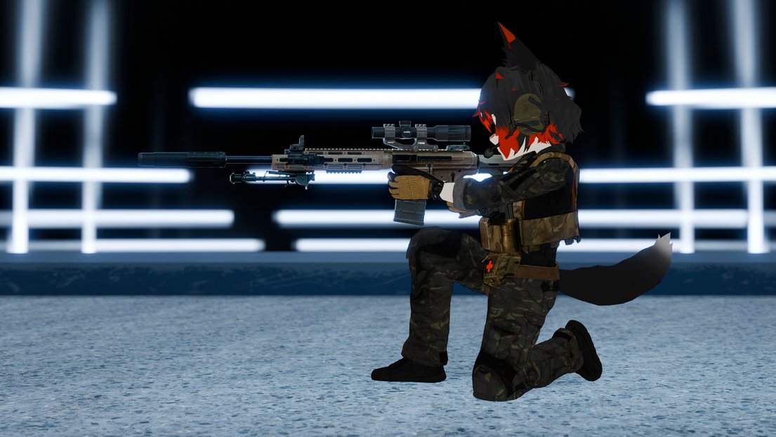 dr1fterfox