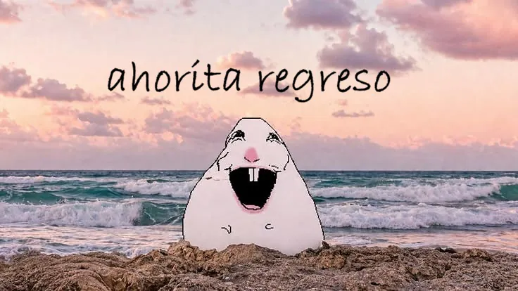 meemora