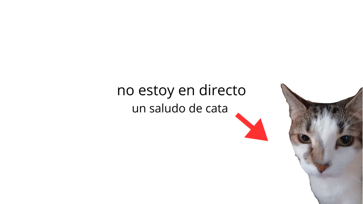 pinguino_arg