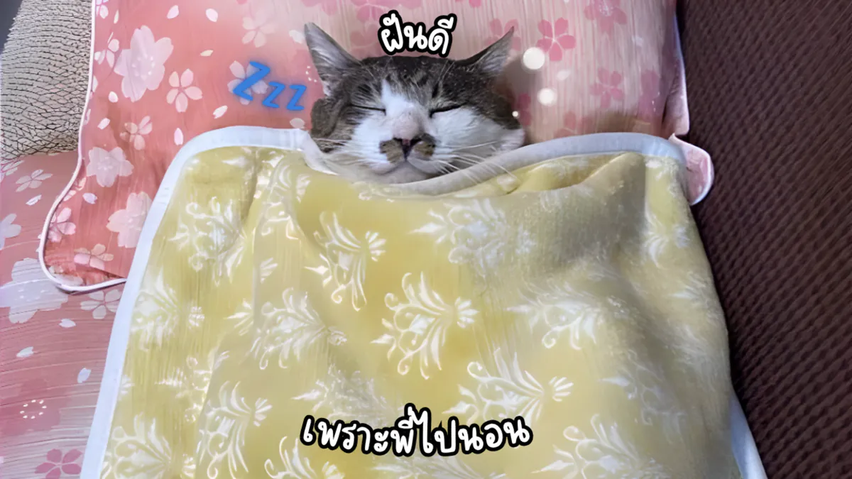 Abygale_04