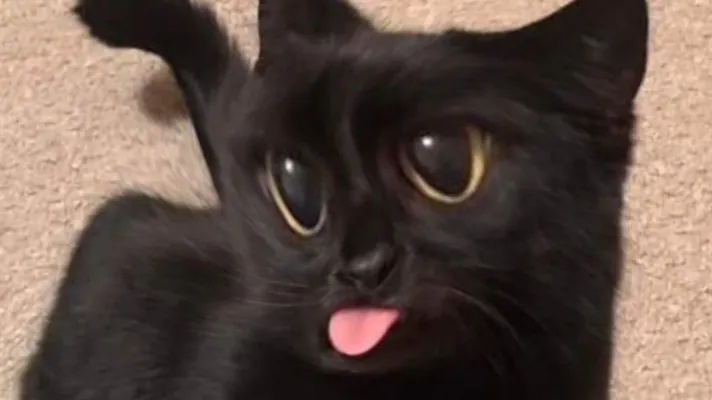 furyssky