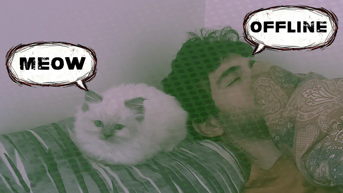 ItzmeAmirparsa