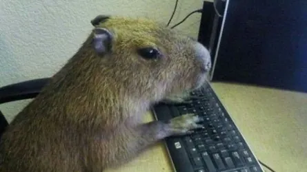 cxrloz_pazos