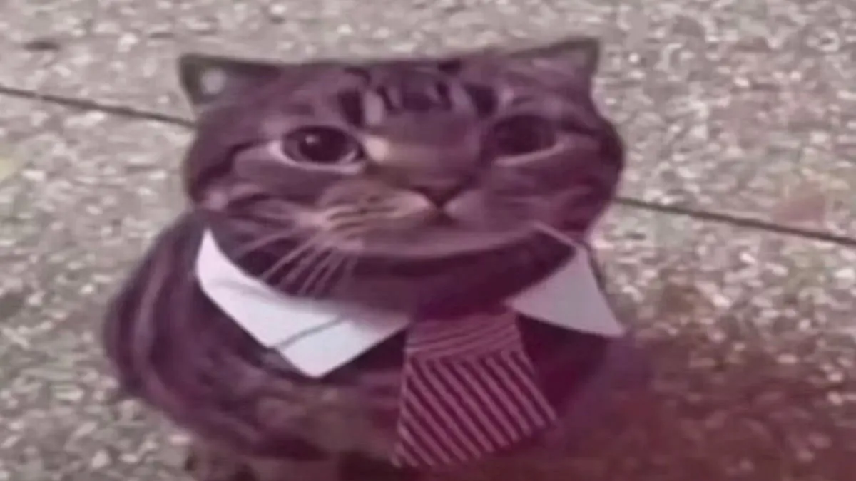 M3NCHACA