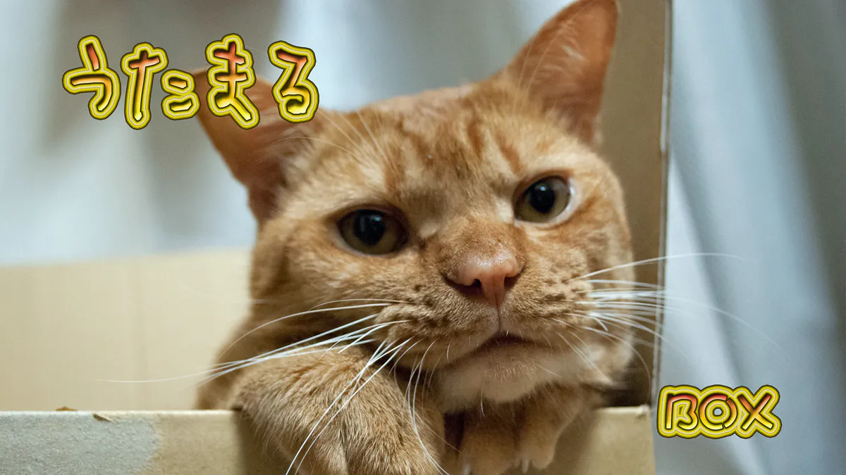 utamarubox