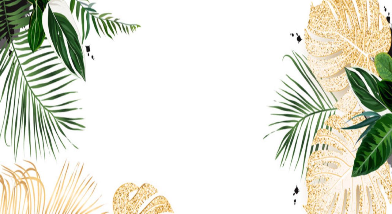 Kick banner for @kathleen