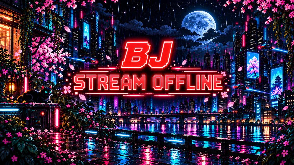 THEBJ13