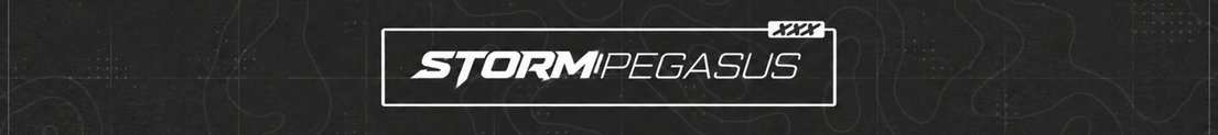 StormPegasus05