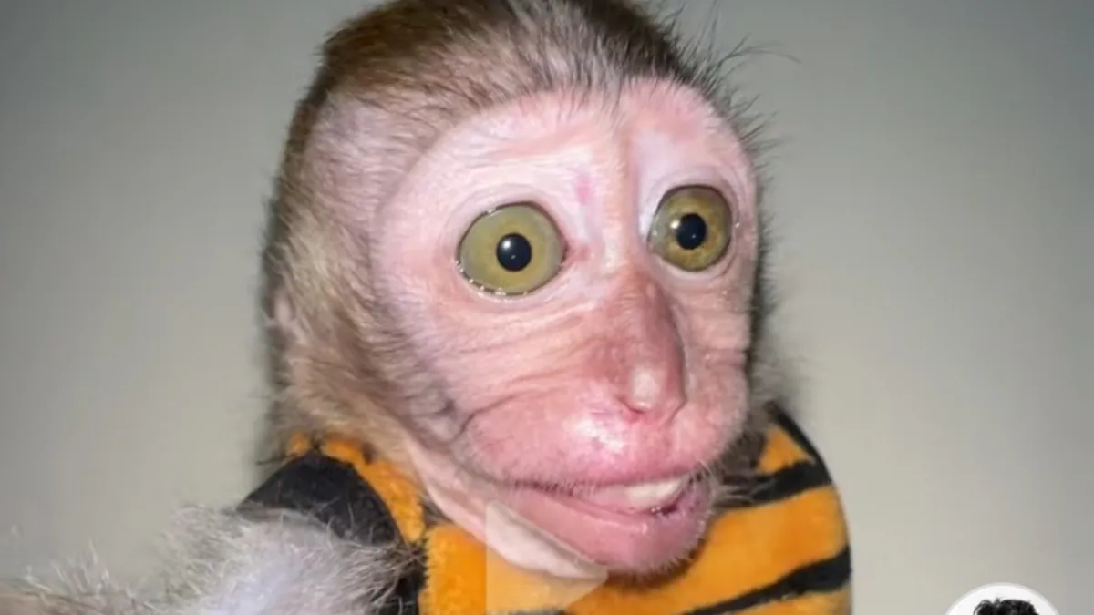 Nnazario
