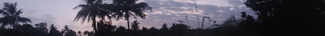 VVIIRRAA2