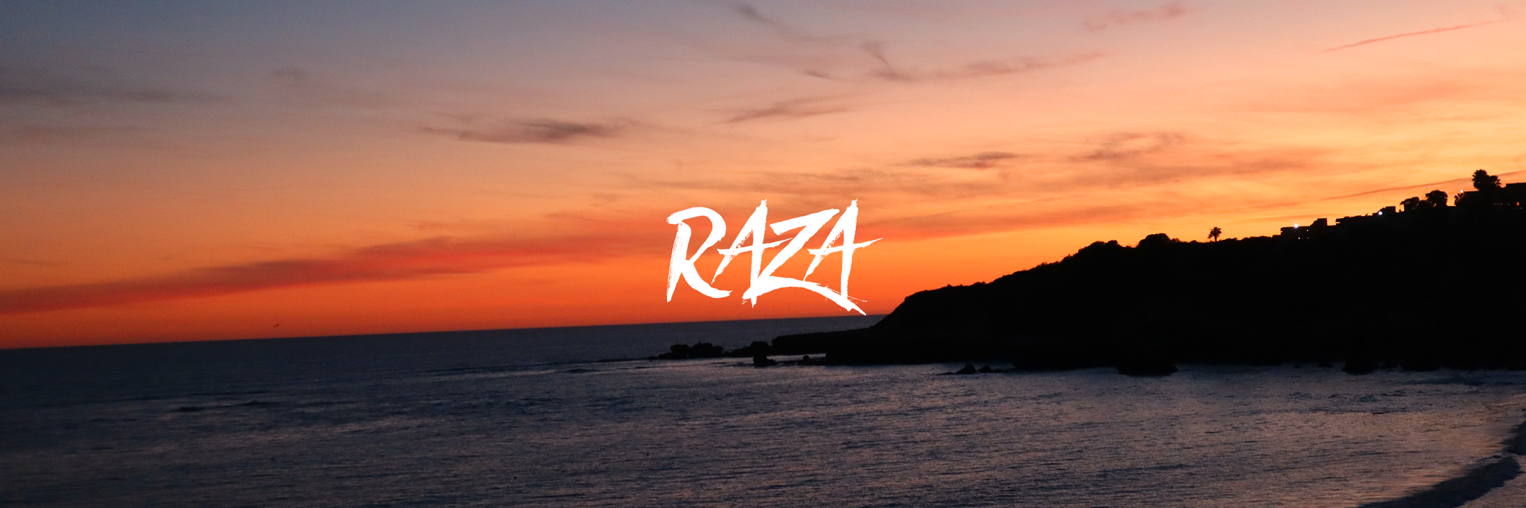 Kick banner for @raza