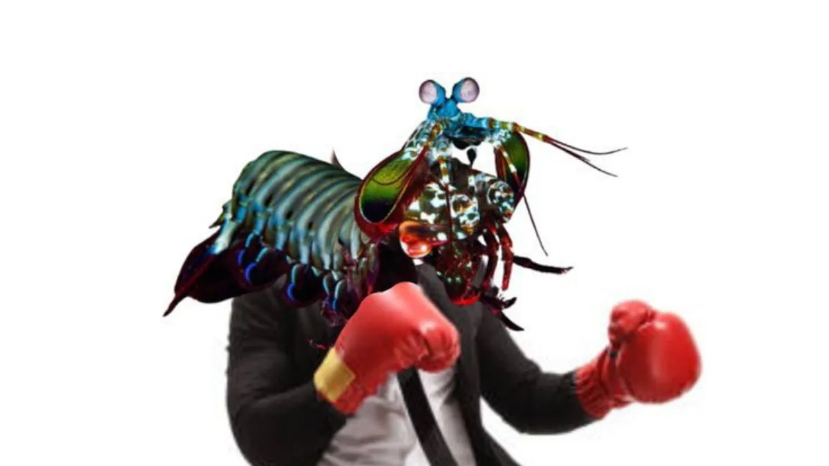 IsaYaGR