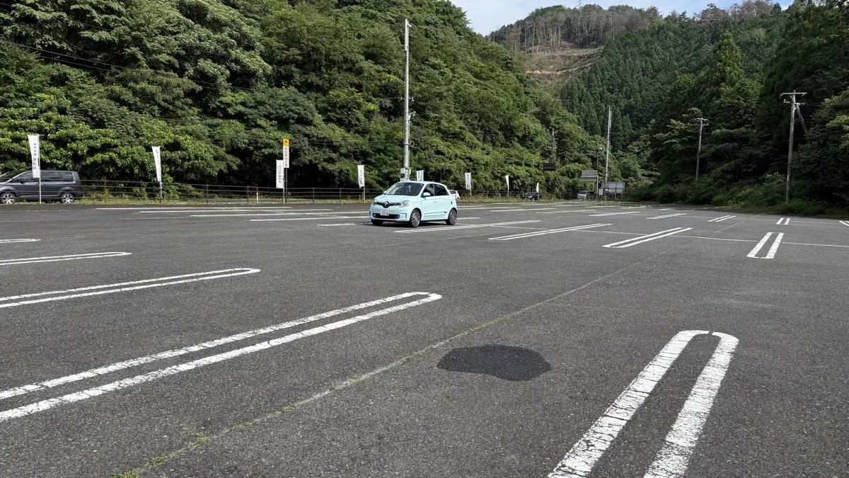 twingo3