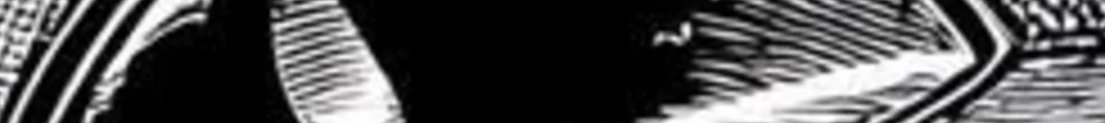 PD_4ty