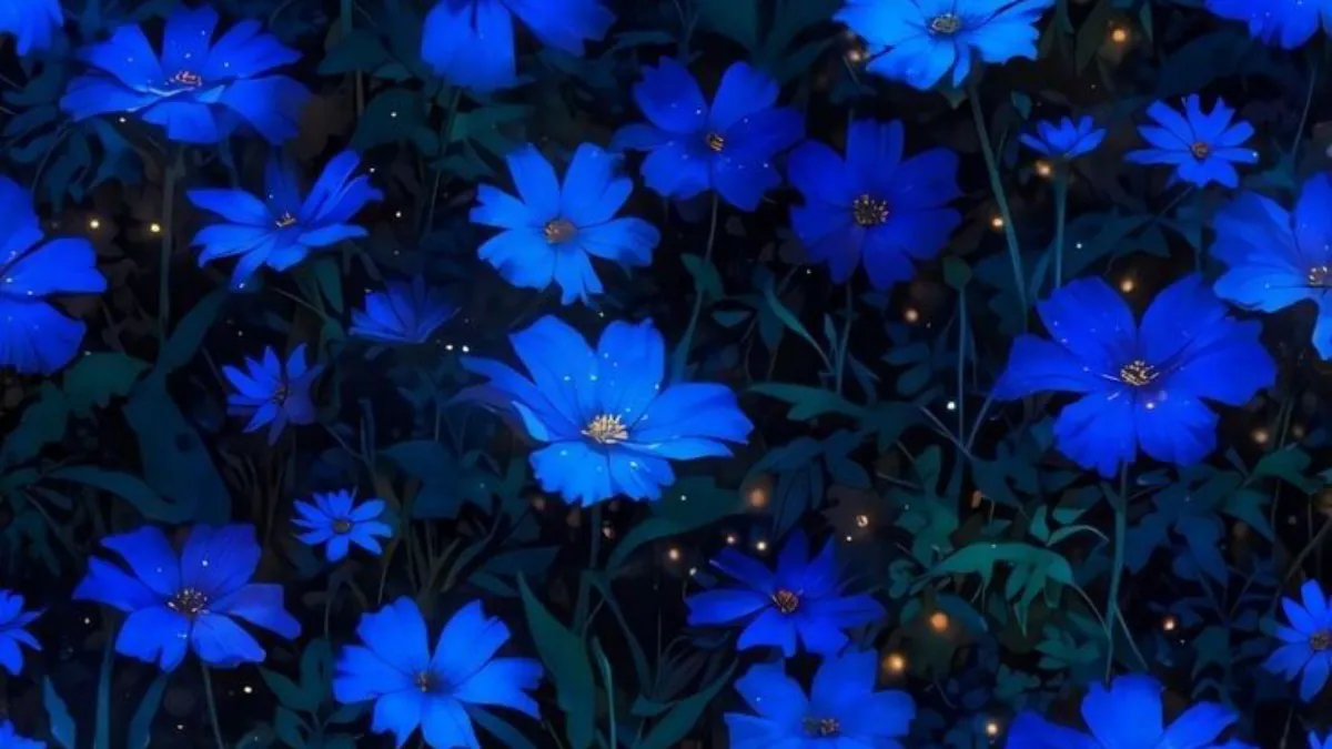 sevenbluerose