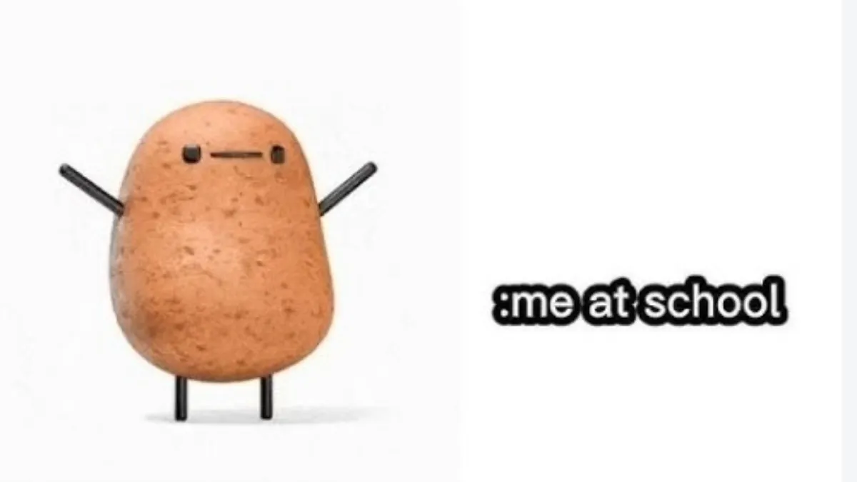 POTATOFN10