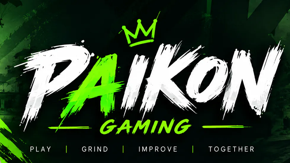 PAIKON8617