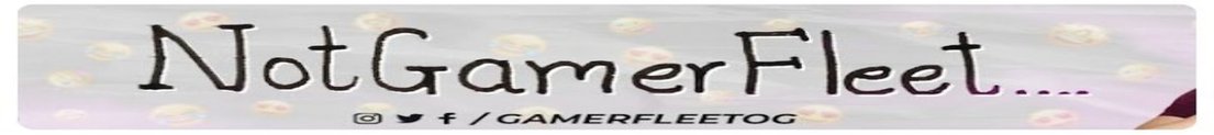 NotGamerFleett